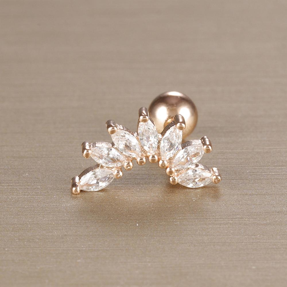 1 Stück 316L Edelstahl Geometrie Ohrstecker Für Frauen Mode Stern Mond Lappen Daith Helix Knorpel Ohrring Piercing Zirkon