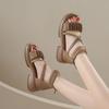 2025 new Roman sandals women's summer fashion versatile fairy style with skirt wear thick-soled cool boots tide