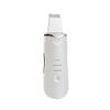 Ultrasonic Skin Scrubber: Blackhead Remover & Beauty Device for Lifting and Firming