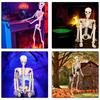 Realistic Full Body Hanging Skeleton with Movable Joints Halloween Haunted House Props Terrifying Skull Decoration
