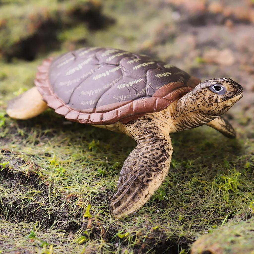 AAGWW 12-Style Animal Model Set, Amphibian Reptile Turtle Decorations, ChristmasNew Year Gift, Kids Toy (Realistic Turtle Model)