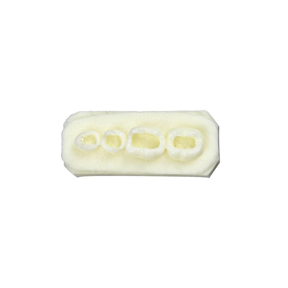 Dental Filling Model Exercize Implant Practice Model Teeth Model For Dentistry Training Teaching Studying Examation Education