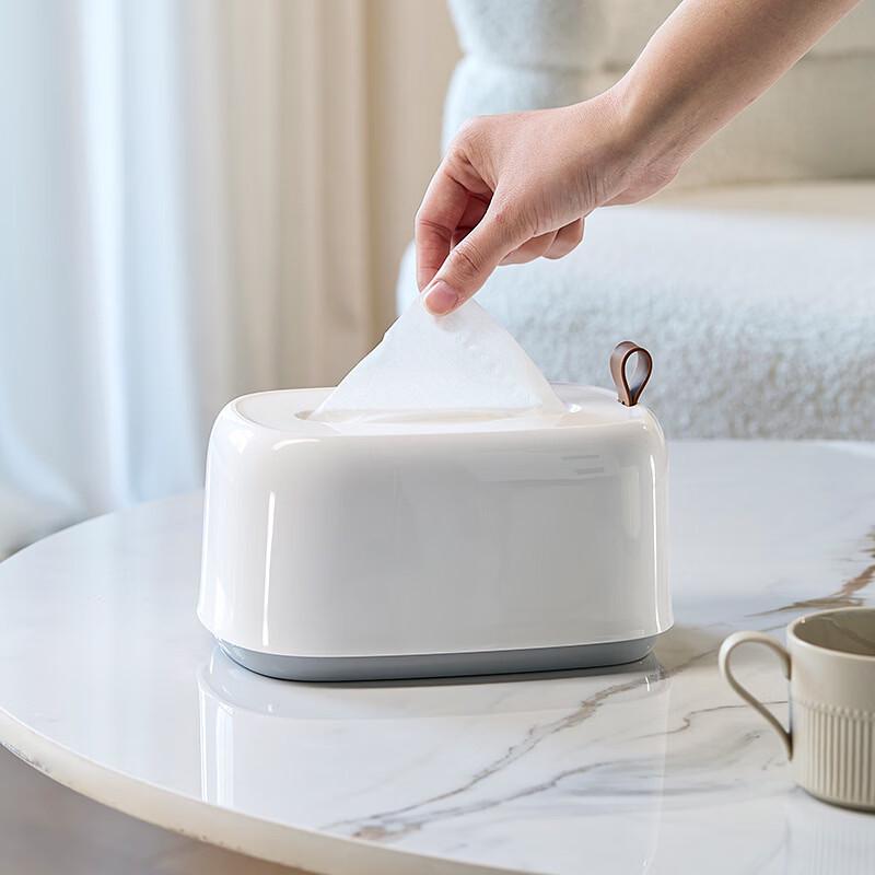 Cream Style Desktop Spring Tissue Box (Set of 2)