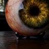 Realistisch Gotisch Oogbol Ornament Levensgetrouw Horror 3D Oog Beeldje Eng Donkere Fantasie Stijl Bureau Decoratie voor Halloween Huisdecoratie