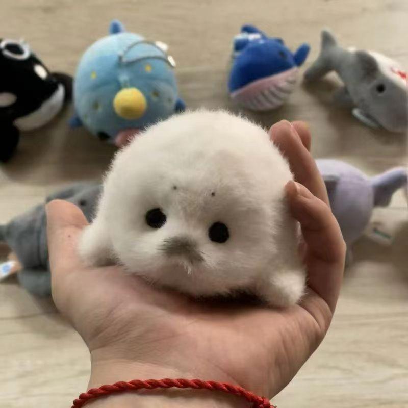 Cute Plush Baby Seal Pendant Keychain Realistic Ocean Animal Doll Ornament Creative Gift Decoration