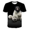 T-shirts e tops – T-Shirts