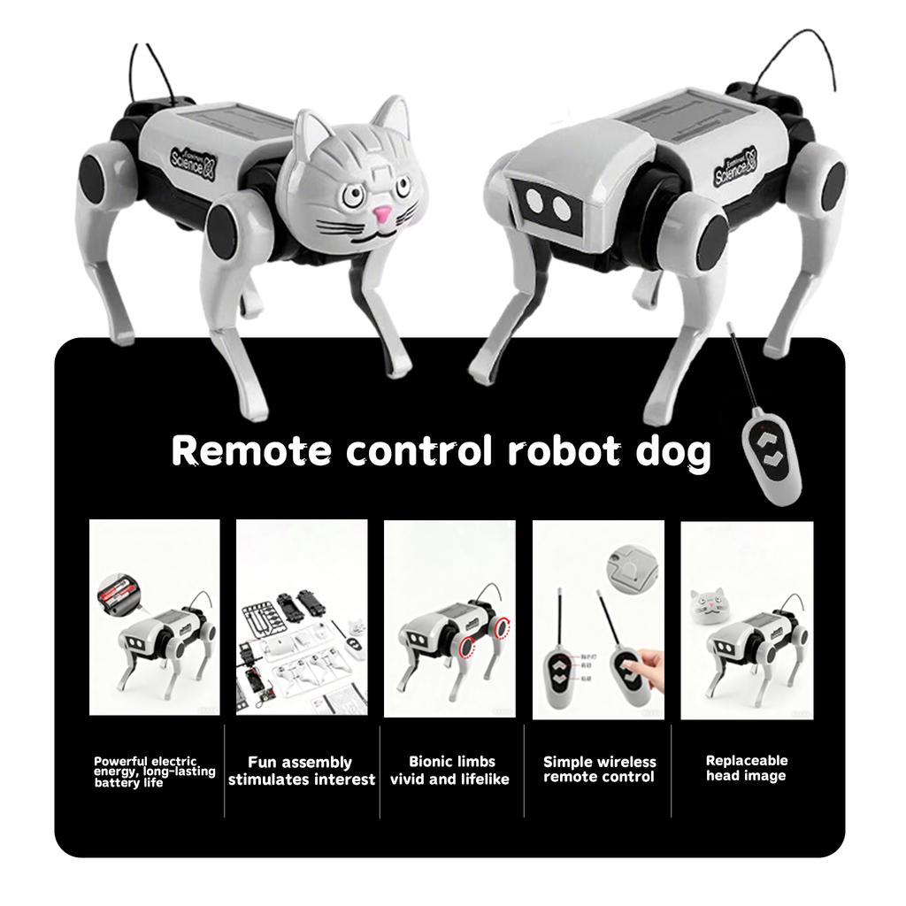 Remote Control Mechanical Dog and Cat Toy for Kids Electric Assembly Model  Children's toys