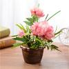 1 Set Artificial Simulation Silk Peony Flowers + Green Plant Bonsai With Flower Potted Wedding Party Home Decoration