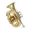Ammoon Mini Pocket Trumpet Bb Flat Brass Wind Instrument with Mouthpiece Gloves Cleaning Cloth Carrying Case