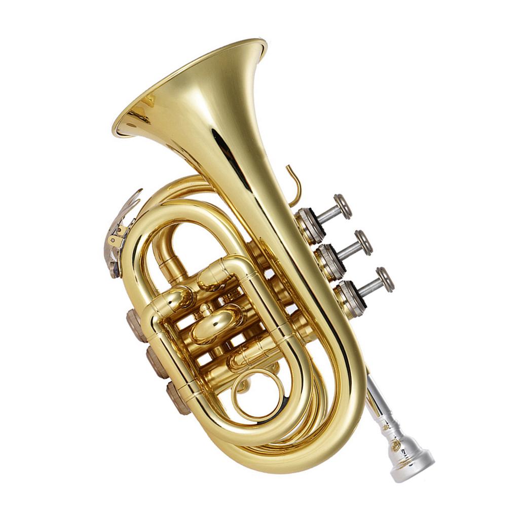 Ammoon Mini Pocket Trumpet Bb Flat Brass Wind Instrument with Mouthpiece Gloves Cleaning Cloth Carrying Case