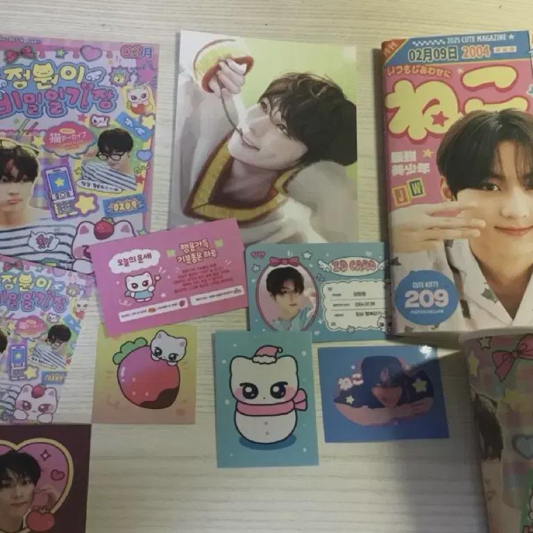 

Enhypen Jungwon Raw Car Privilege Package