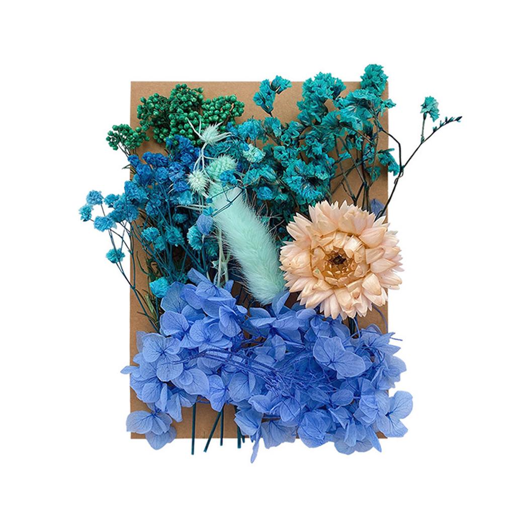 Dried Flower Material Set Dried Flower Package Flower Arranging Supplies for DIY