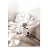 Romantic Blue Beach Posters Coast  Magnolia Flower Print Wall PictureCanvas Painting Nature Theme Blue White Bedroom Decor