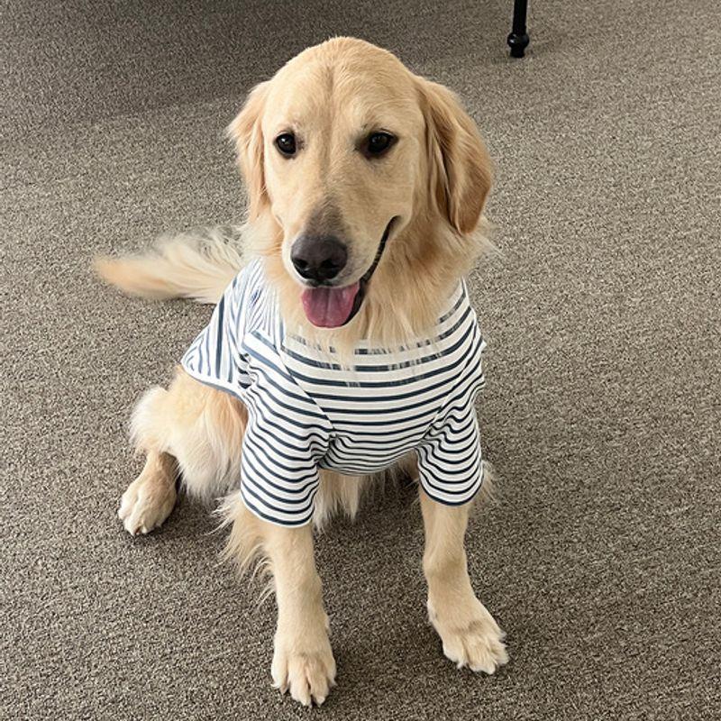 BARKDOG Basic Striped T-Shirt M-6XL 3colors