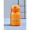Mini Vacuum Flask, Insulated Water Bottles, Travel Thermal Cups, for Hot and Cold Beverages, Summer Winter Drinkware