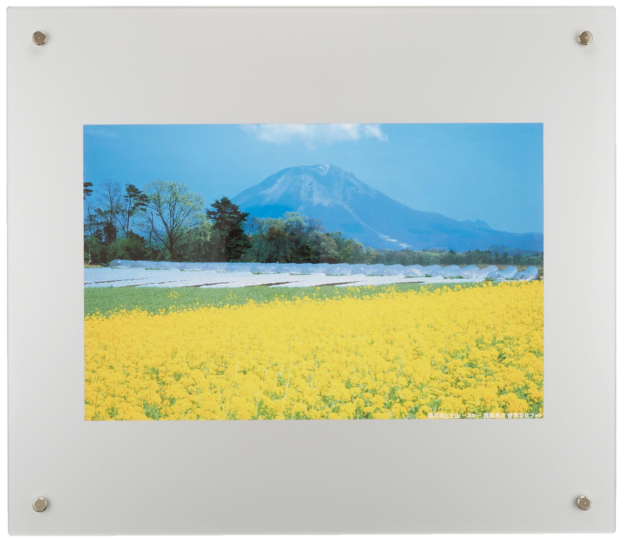

FUJICOLOR Pro Frame 4-Cut No-Tri Acrylic Frame, Silver, 40104