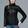 Korean Style Women's Lightweight Slim Fit Down Jacket - Stand Collar, Short, Plus Size, Autumn/Winter
