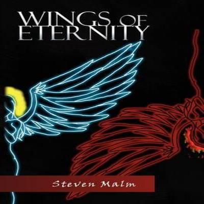 Wings of Eternity by Steven Malm Hardback Book 9781441568847