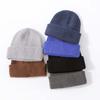 Winter new style high-end imitation cashmere warm thickened knitted hat fashionable versatile adult hat