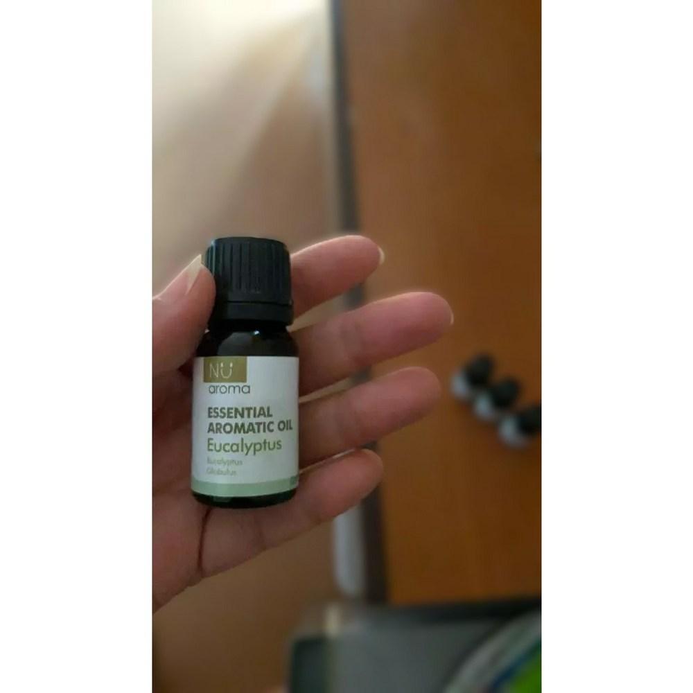 Essential Aroma Oil Eucalyptus 10 Ml
