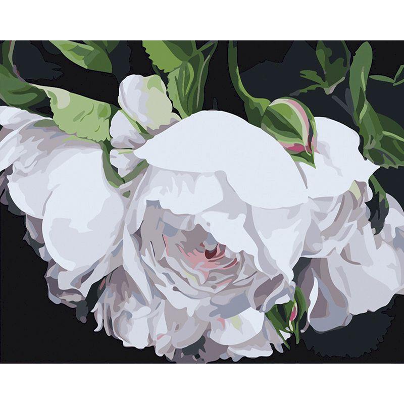 GATYZTORY 40x50cm Frame Painting By Numbers For Adults Color Flower Oil Picture HandPainted Diy On Canvas Home Wall Art