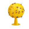 Vertical Sticky Fruit Fly Trap Ball for Kitchens and Fruit Shops