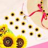 10/20/30/40/50Pcs Creative Board Push Pin Photo Wall Decor Thumb Tacks  Office School Supplies