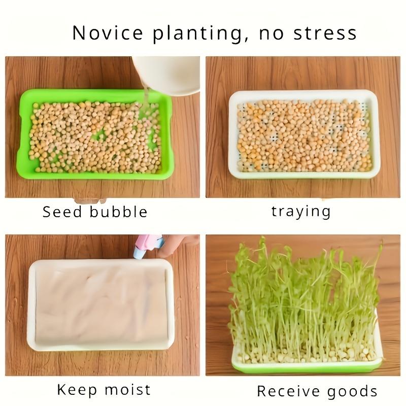 Of "Quick Harvest" Seed Germination Kits for Peas, Legumes, Wheat, and Pet Herbs - Hydroponic Germination Trays with Drainage Holes