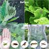 Cross-Border Agricultural Greenhouse Insect Net: Nylon Mesh for Vegetable Growth and Garden Protection