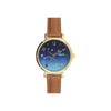 Follow Fragola Constellation Gradient Watch H02021S-1 Brown