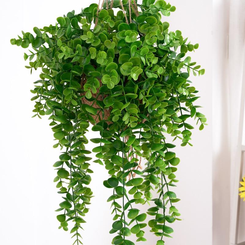 Leaf Plastic Eucalyptus Citriodora For Living Room Photo Backgrounds Wall Decor