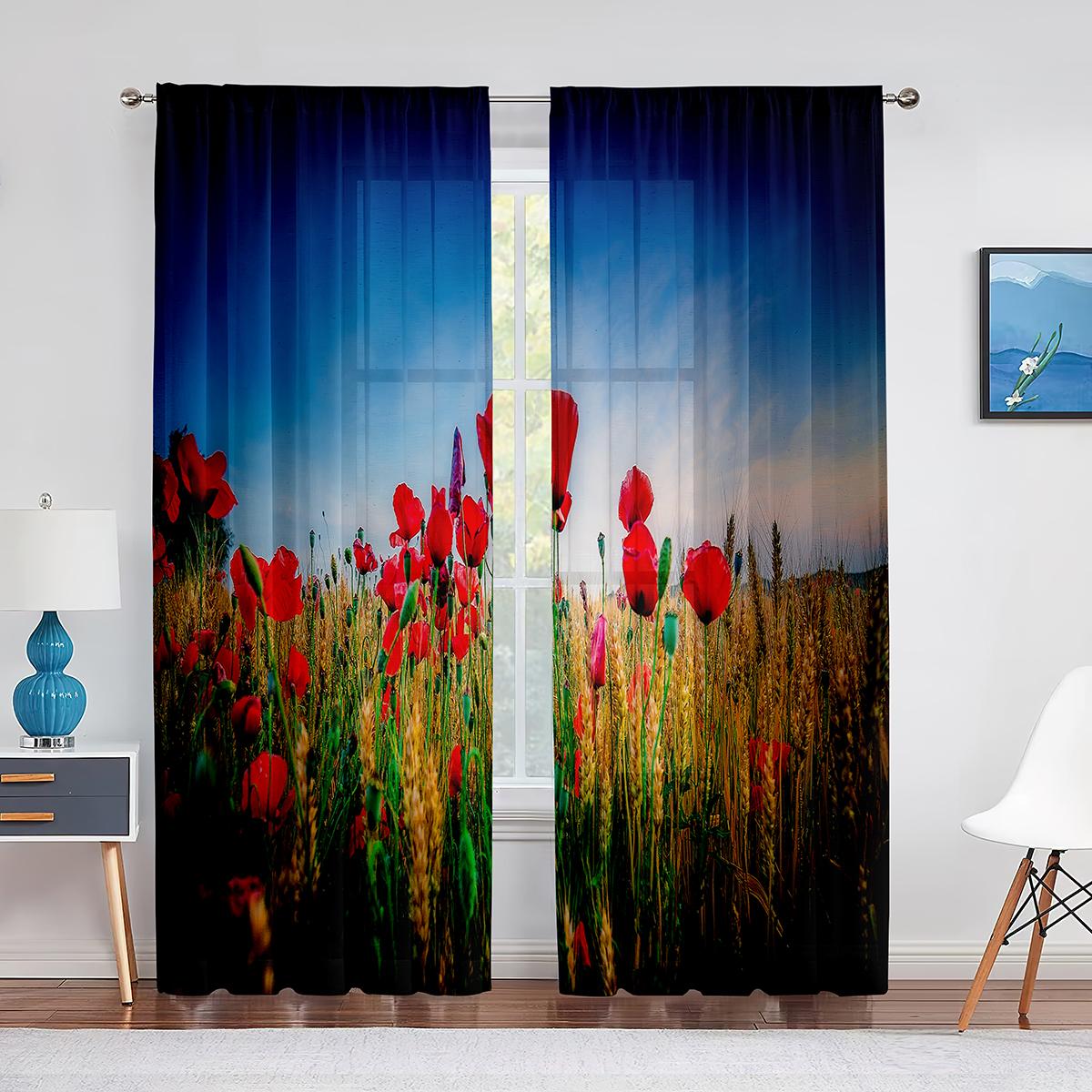 Красные маки на зеленом поле — фото 10