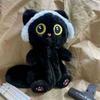 Fluffy Black Cat Pen Case With Large Capacity Student Stationery Organizer For Cute Desk Decor