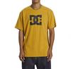 Dc Shoes Dc Star Hss Short Sleeve T-Shirt