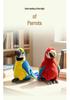 Pink Macaw Parrot Plush Toy - Realistic Small Bird Doll for Children