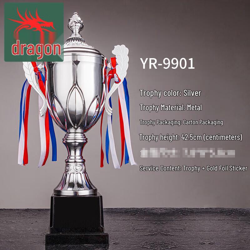 Customizable Silver Award Trophy for Corporate & Sports Events