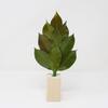 [A&K] Shinto Shrine Altar, Kiwami Sakaki S, Sakaki Stand Set, Tanba Camellia Leaves, Japanese Cypress, Preserved Sakaki, Never Withers, No