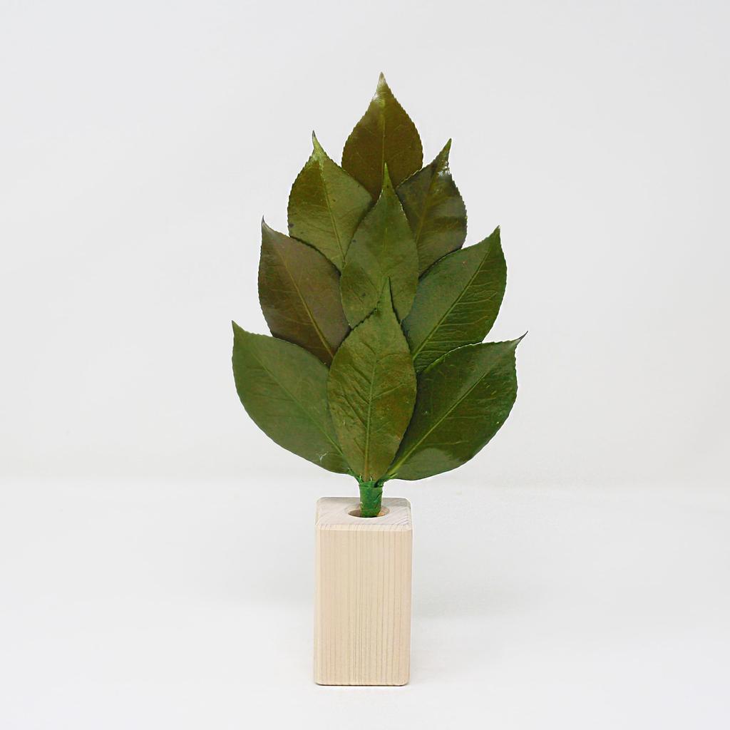 [A&K] Shinto Shrine Altar, Kiwami Sakaki S, Sakaki Stand Set, Tanba Camellia Leaves, Japanese Cypress, Preserved Sakaki, Never Withers, No