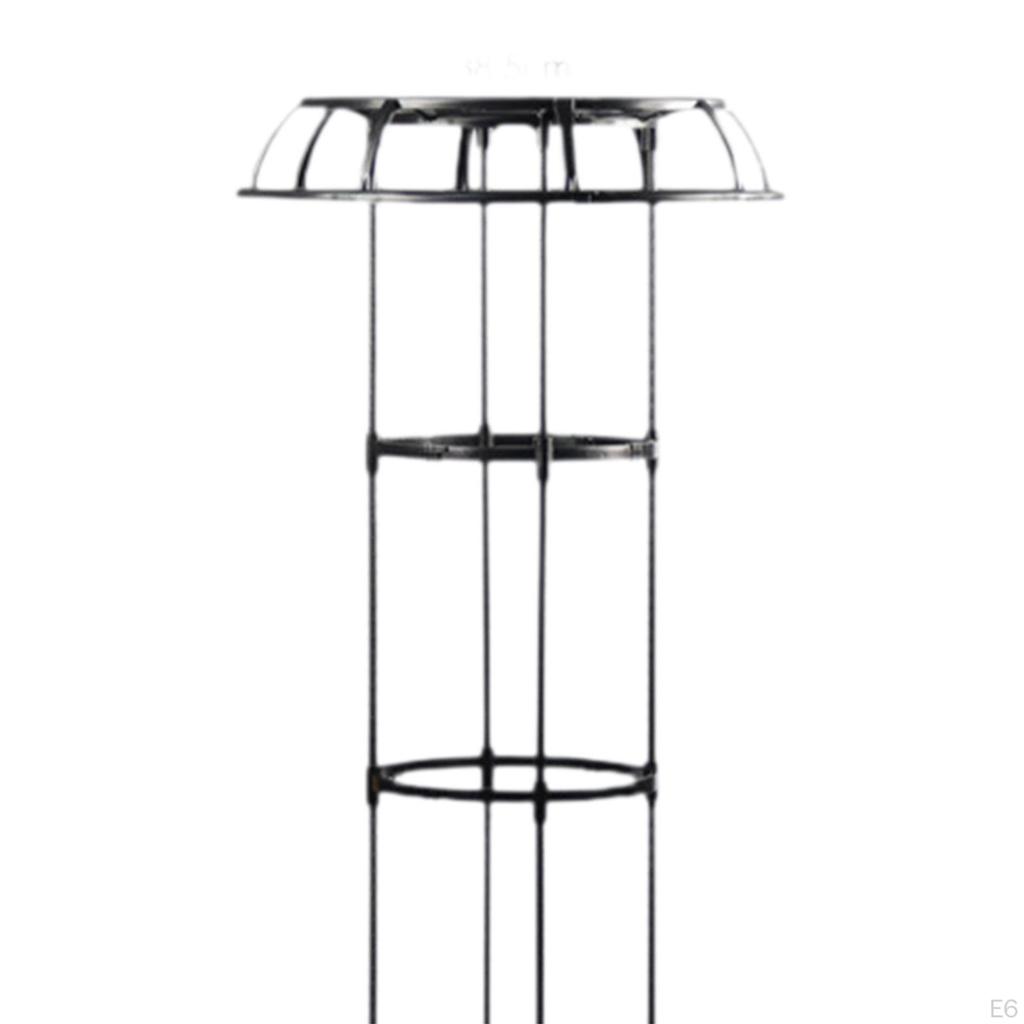 Metal Garden Trellis for Climbing Vegetables And Flowers