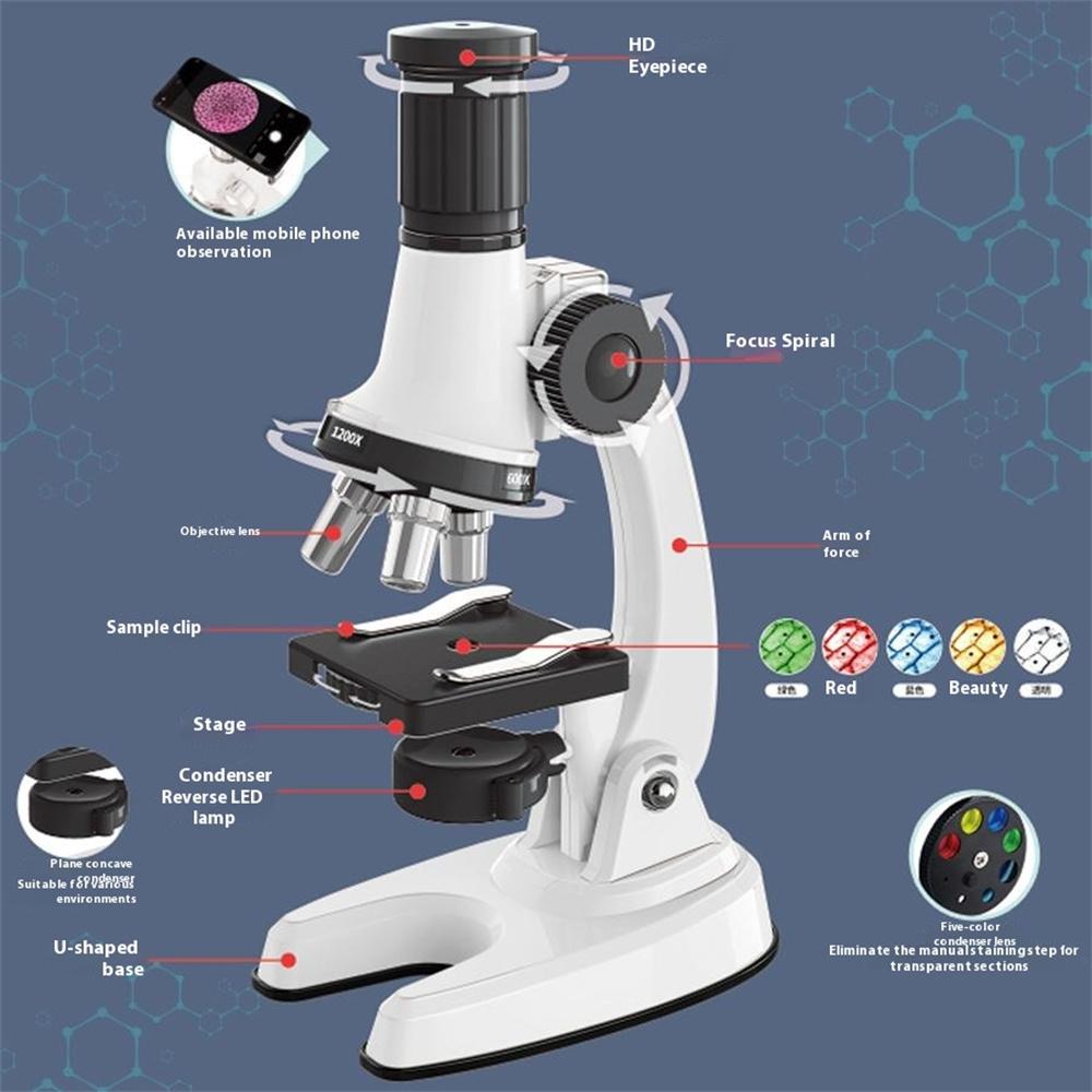 C2227A Zestaw Mikroskopu dla Dzieci Powiększenie 1200x Mikroskop dla Początkujących Dzieci Eksperymenty Edukacyjne