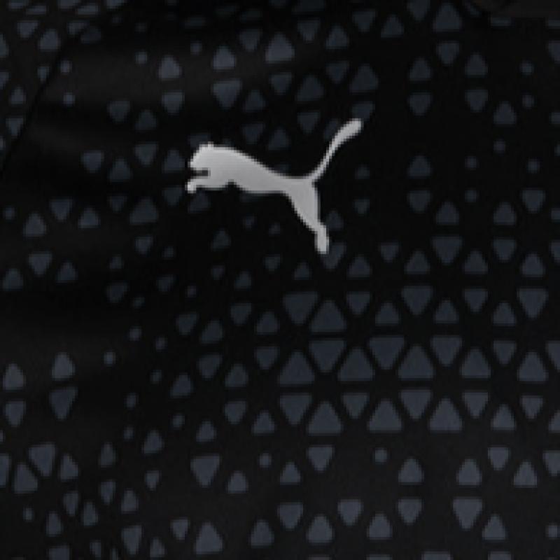 Puma Dres Galleria Puma Team Cup Training Sportswear s krátkým rukávem, 5 typů
