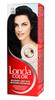 Londa Professional Permanent Hair Color - Premium Black 2/0, 100ml