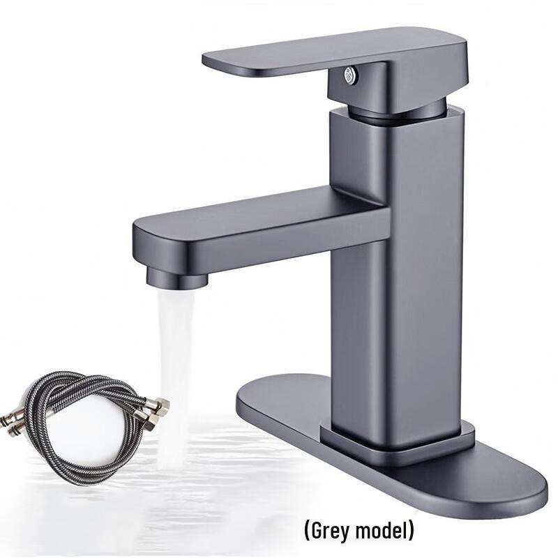 

DANLE Gunmetal Grey Single Cold Basin Faucet