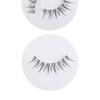 Choyu - Natural Multipack False Eyelashes