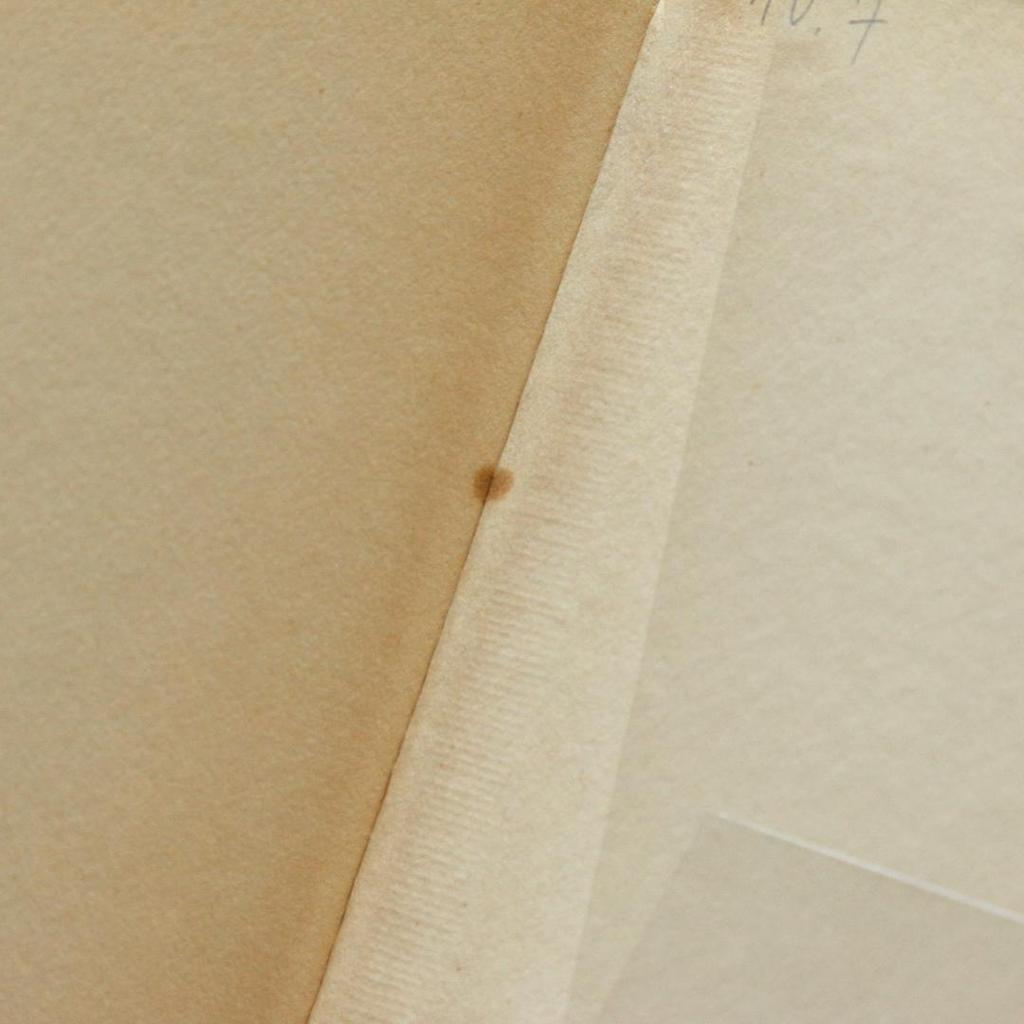 [USED] Germany Insel Library 503 Mushroom Book