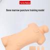 Bone Marrow Aspiration Training Model