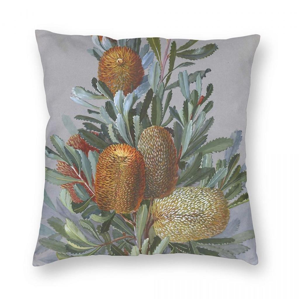 Banksia Australian Wildflower Pillowcase Polyester Linen Velvet Creative Zip Decorative Pillow Case Car Cushion Cover X