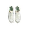Nike Blazer 77 Low Premium Certified Fresh Sneakers Skateboard Shoes DO9799-100