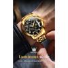 OLEVS New Business and Leisure Watch Multifunction Chronograph with Calendar Quartz Watch Waterproof Luminous Men's Watch
