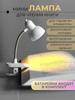 Desk Lamp